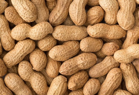 Peanut With Shell