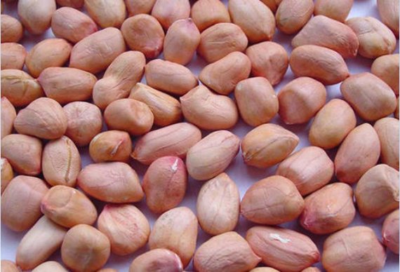 Peanut Without Shell