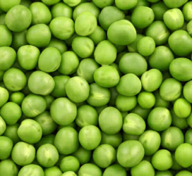 Peas