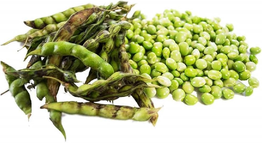 Pigeon Pea