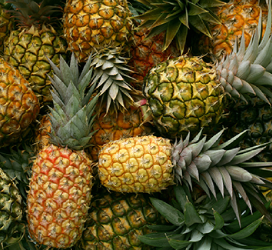 Pineapple