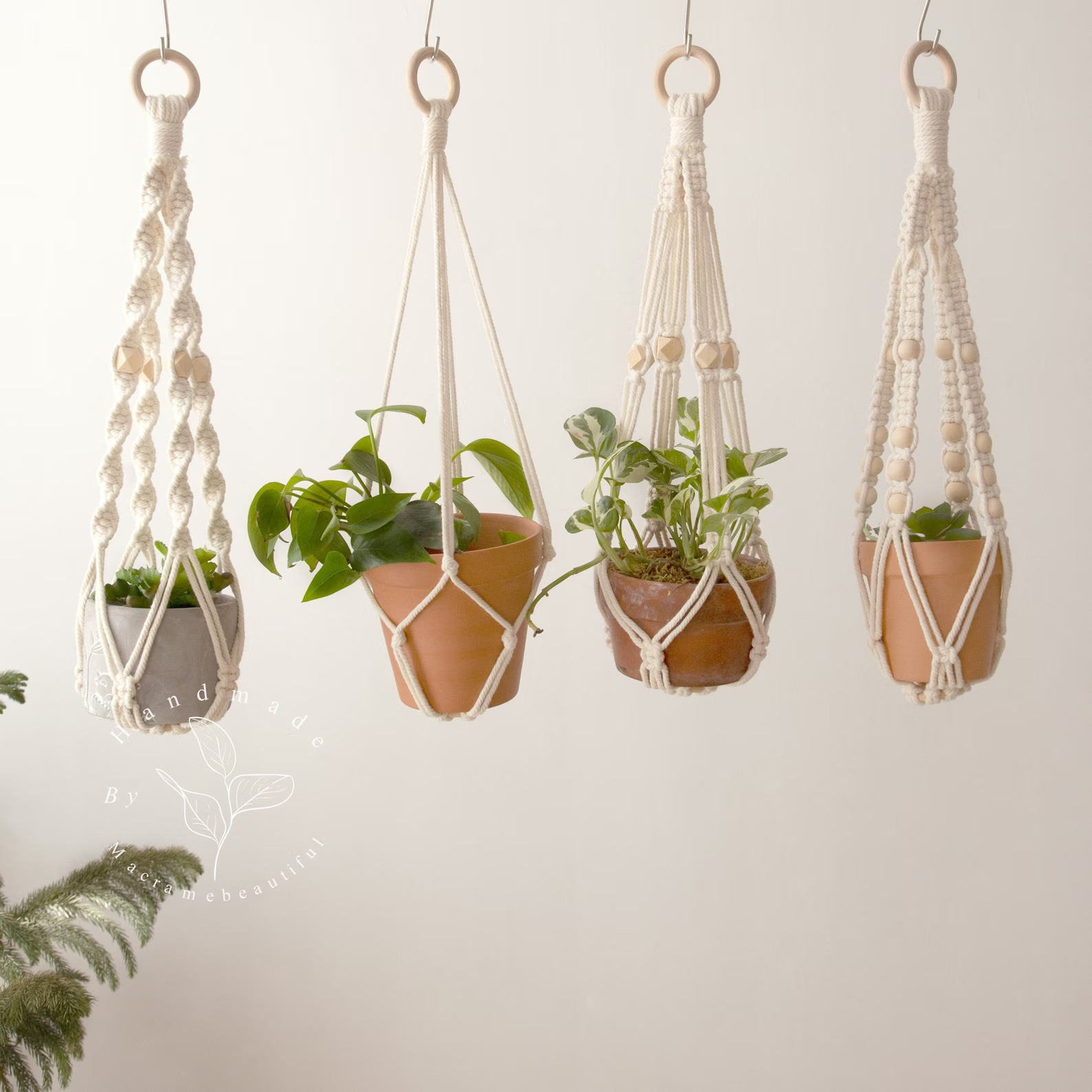 Plant Hanger