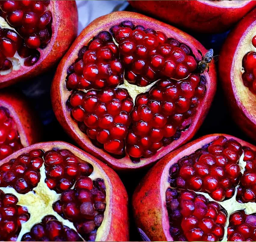 Pomegranate