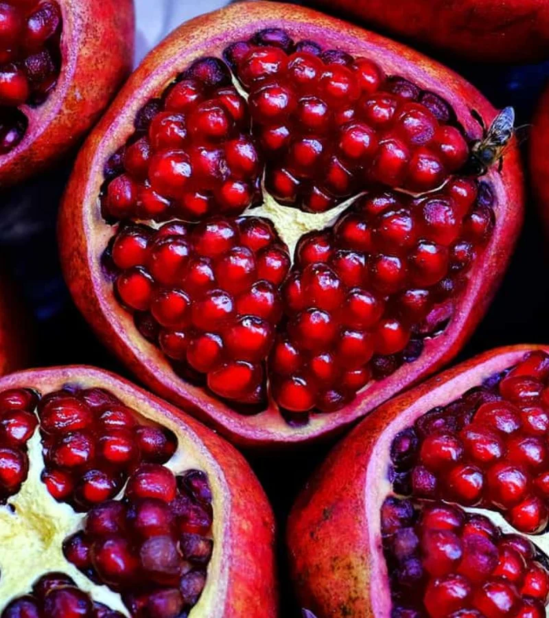 Pomegranate