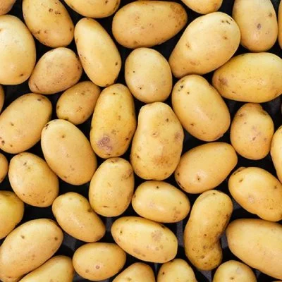 Potato