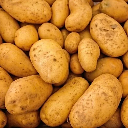 Potato