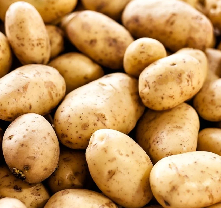 Potato