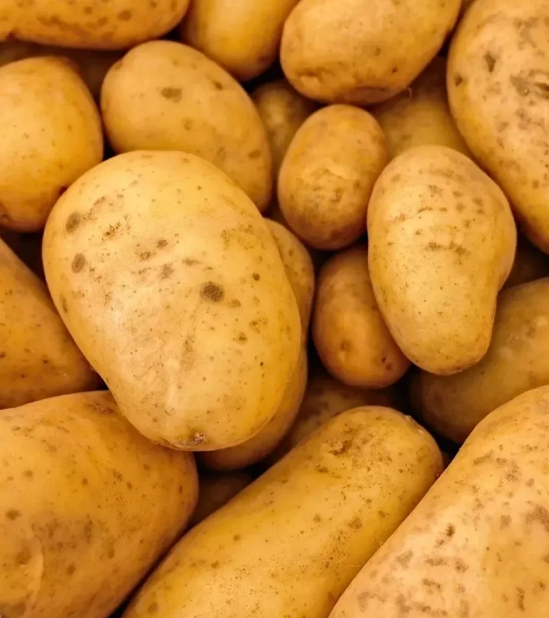 Potato