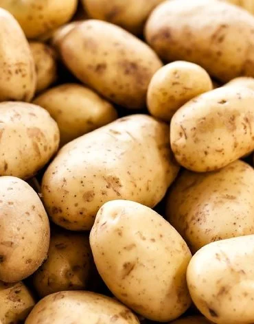 Potato