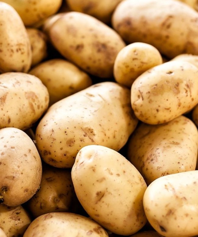 Potato