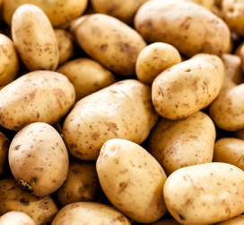 Potato