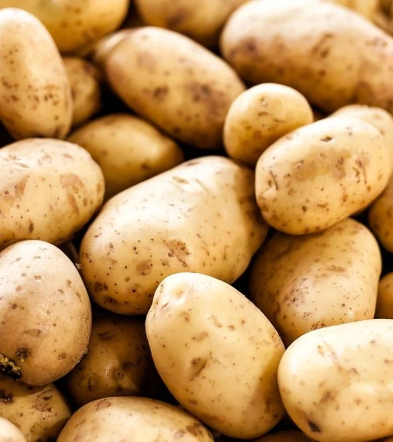 Potato