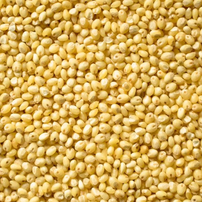 Proso Millet
