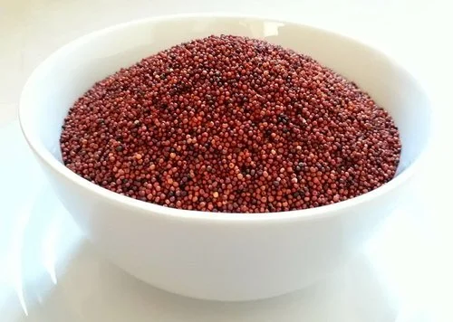 Ragi (Finger Millet)