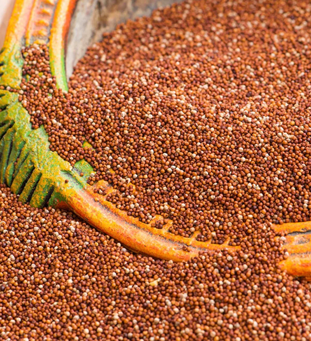Ragi Millet