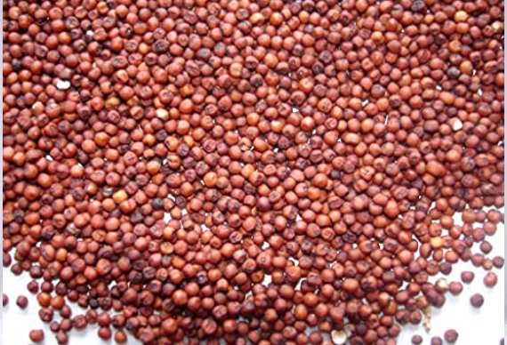 Ragi