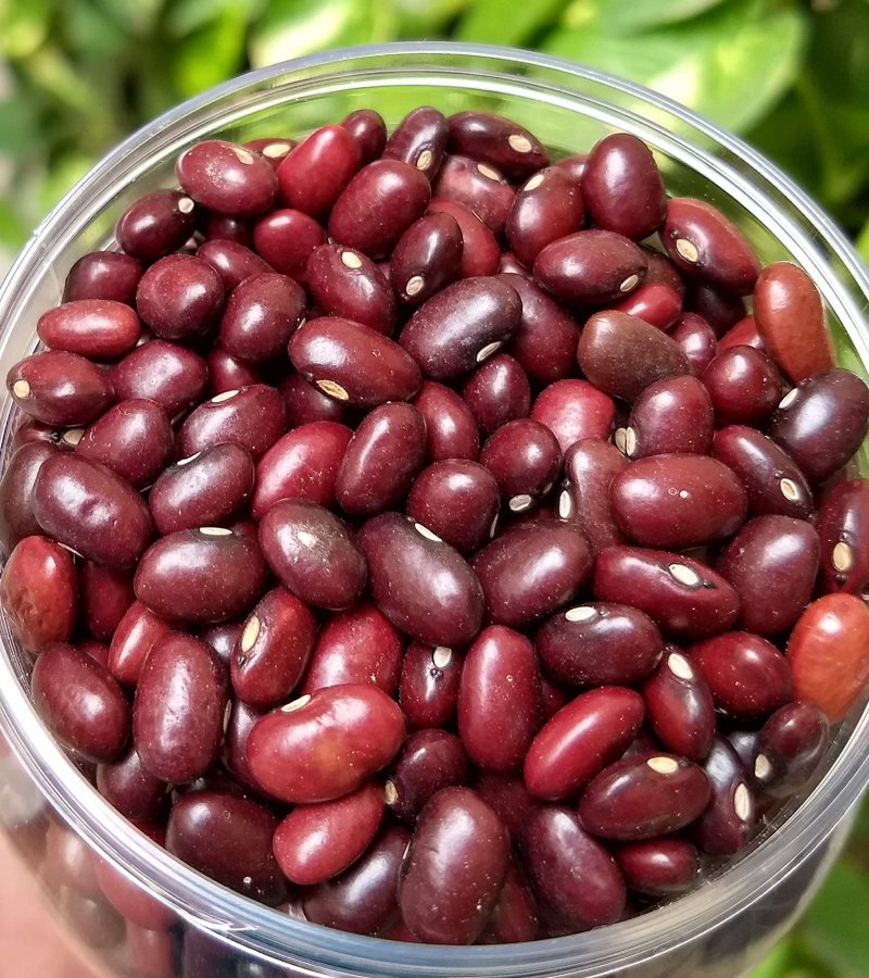 Rajma kidney beans
