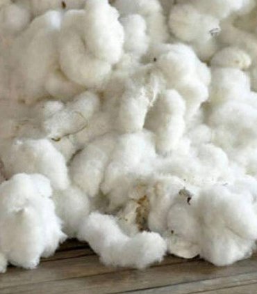 Raw Fabrics Cotton
