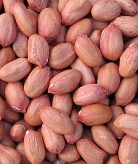 Raw Groundnut