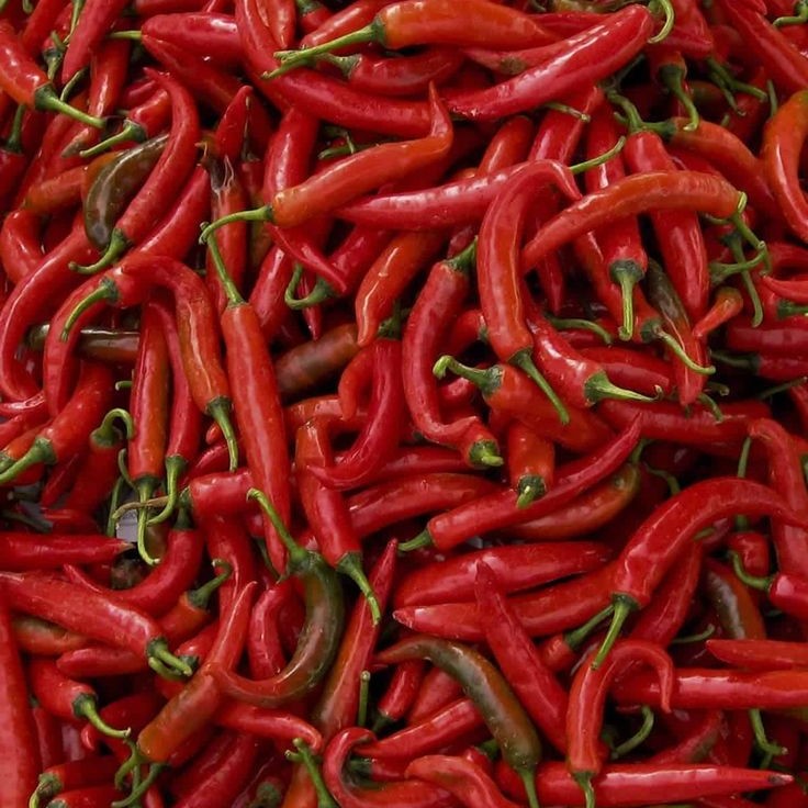 Red Chili