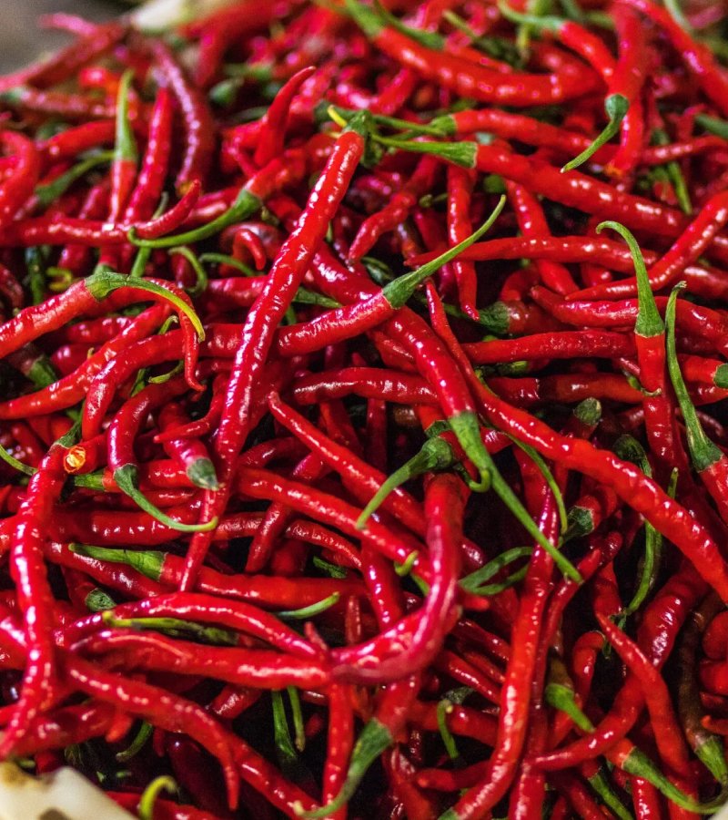 Red Chilli