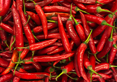 Red Chilli