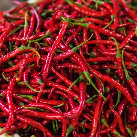Red Chilli
