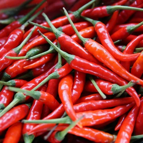 Red Chilli