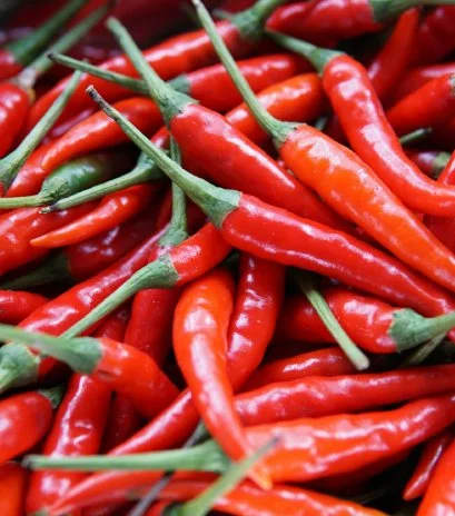 Red Chilli