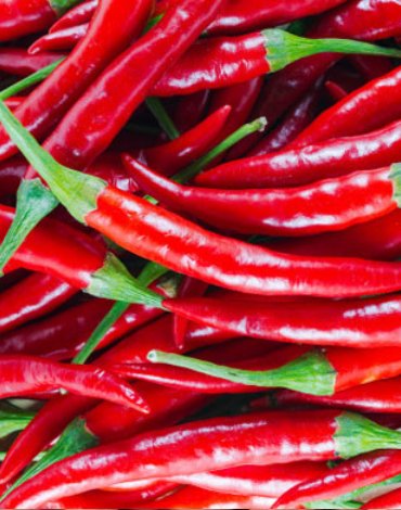Red Chilli