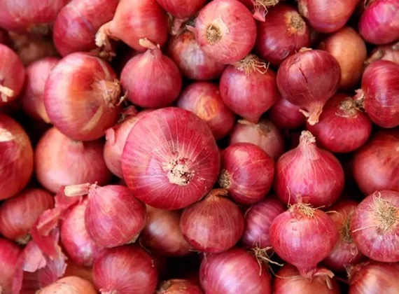 Red Onion