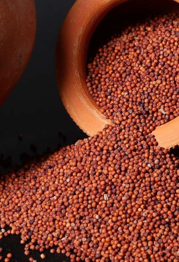 Red Ragi