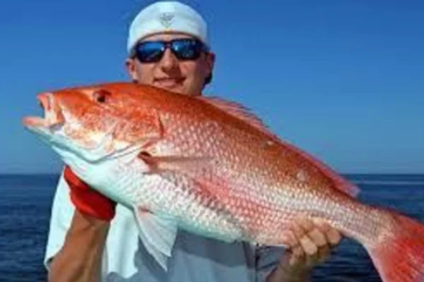 Red Snapper