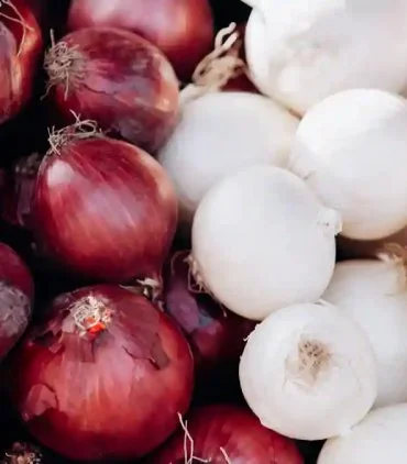 Red & White Onion