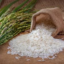 Rice