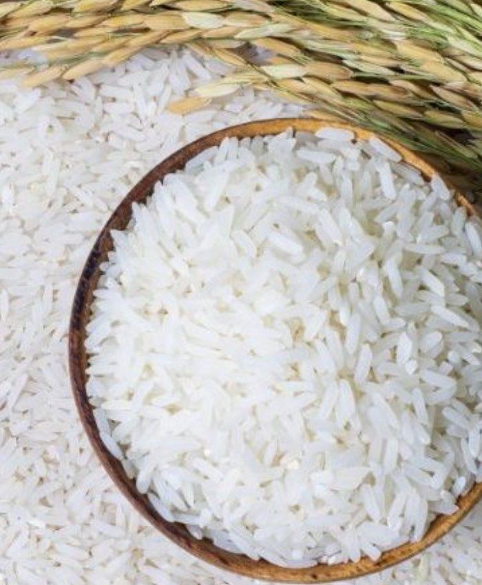 Rice