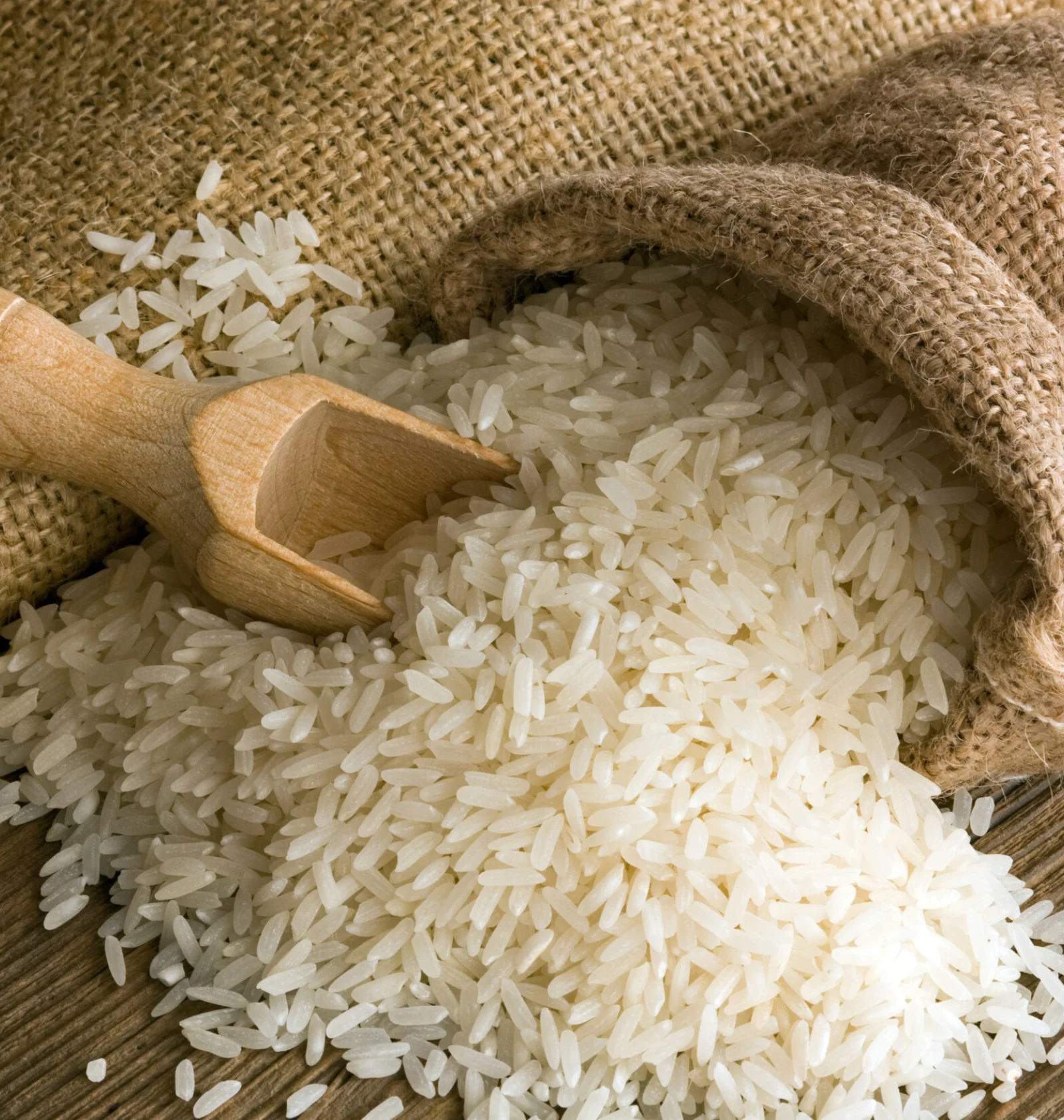 Rice
