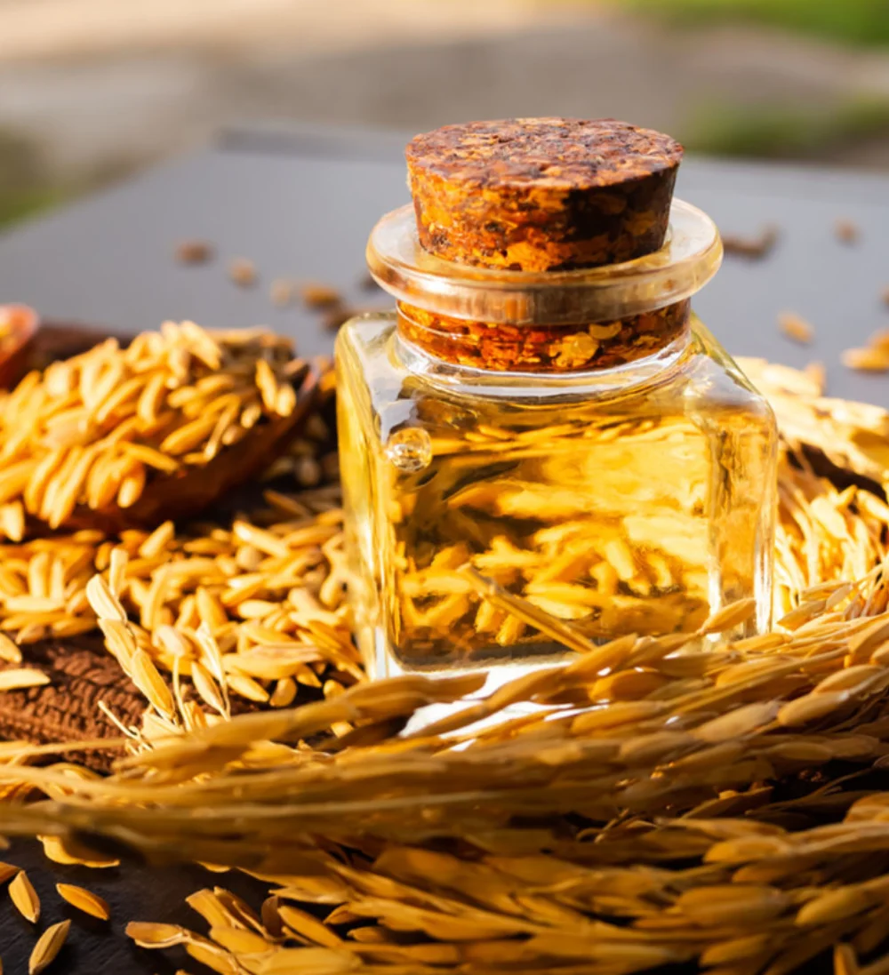 Rice Oil