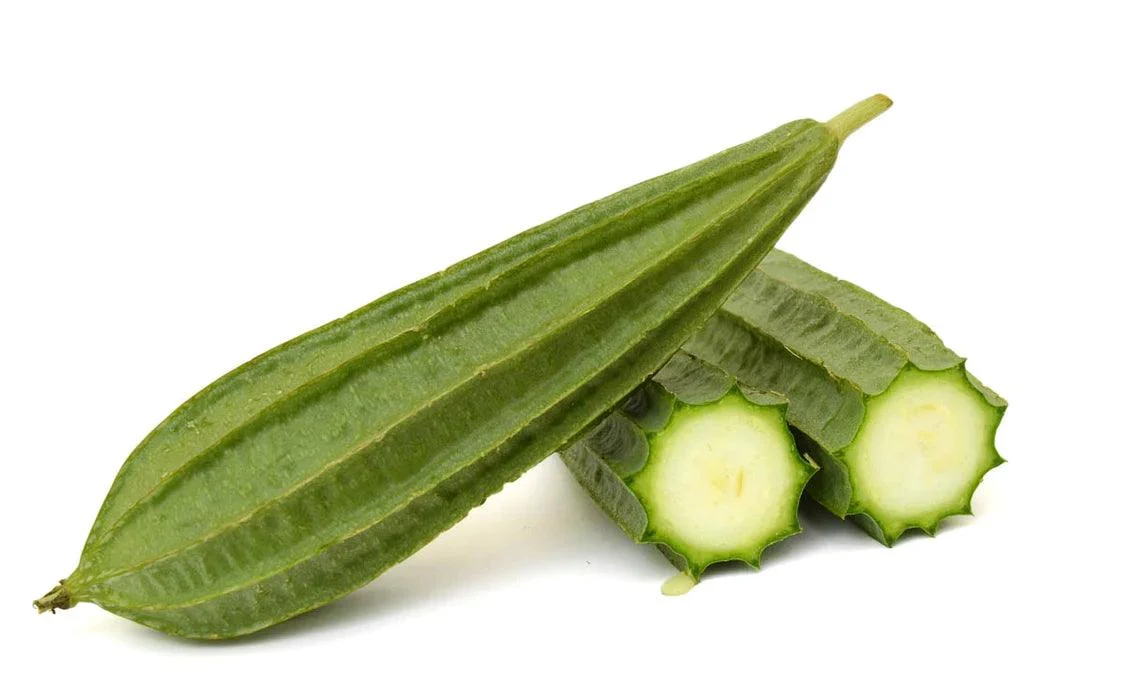 Ridge Gourd