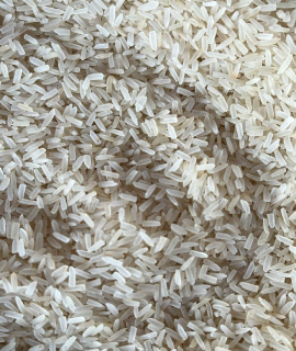 Satabdi Rice