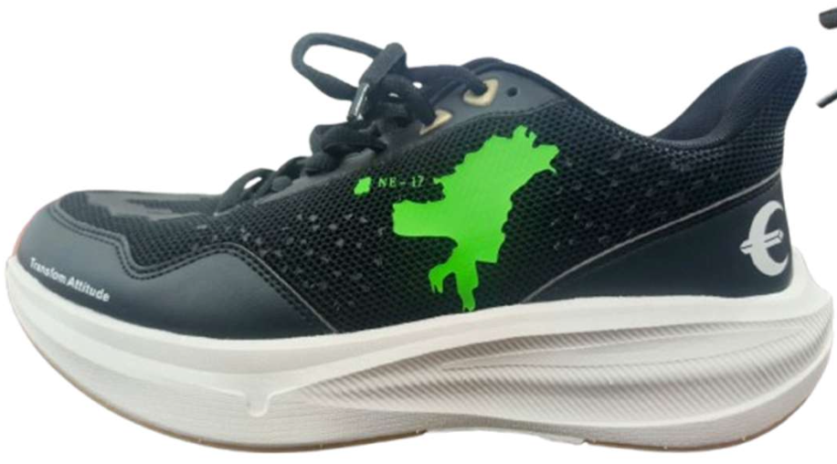 THE NE-17 RUNNER