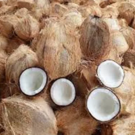 Semi Husked Coconut