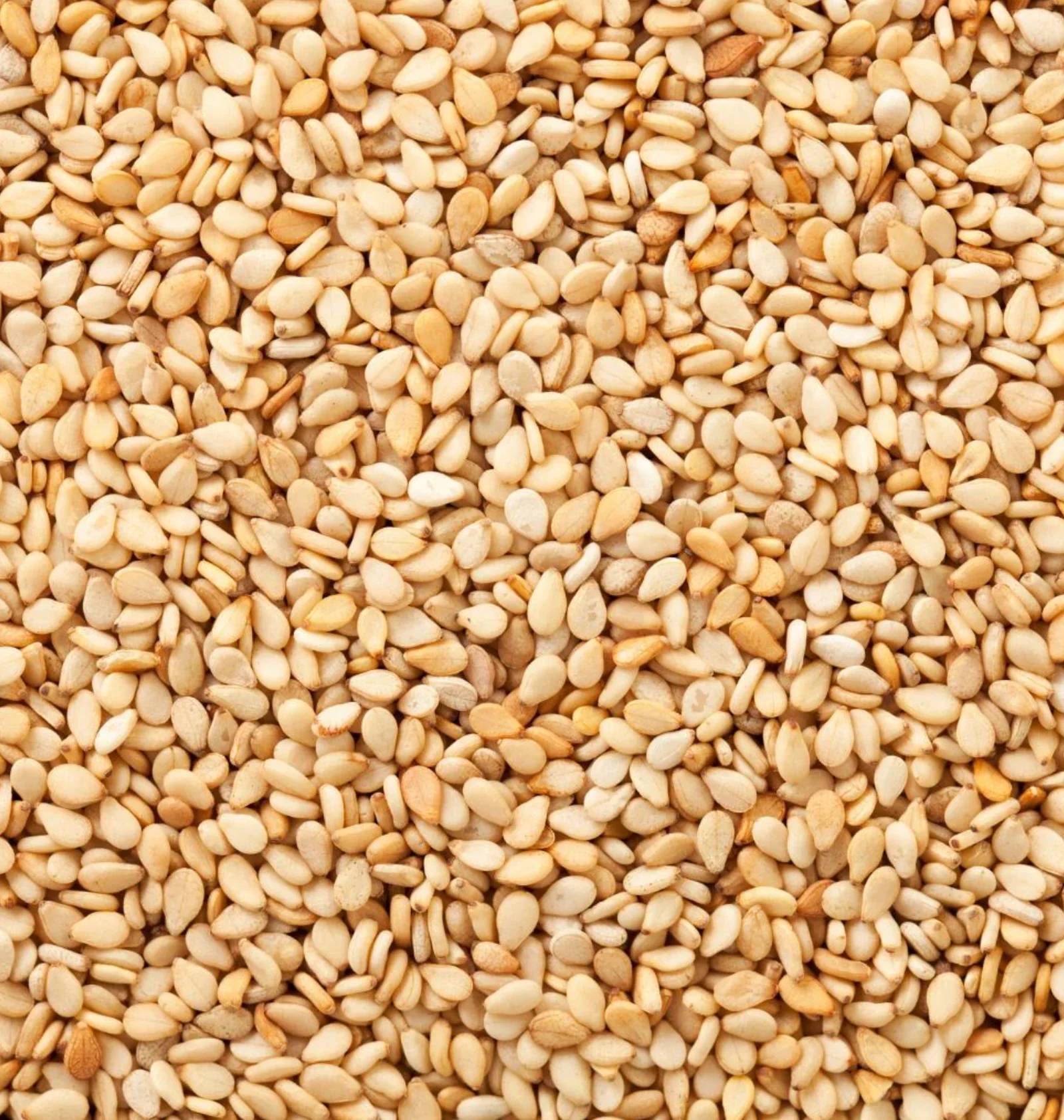 Sesame Seeds