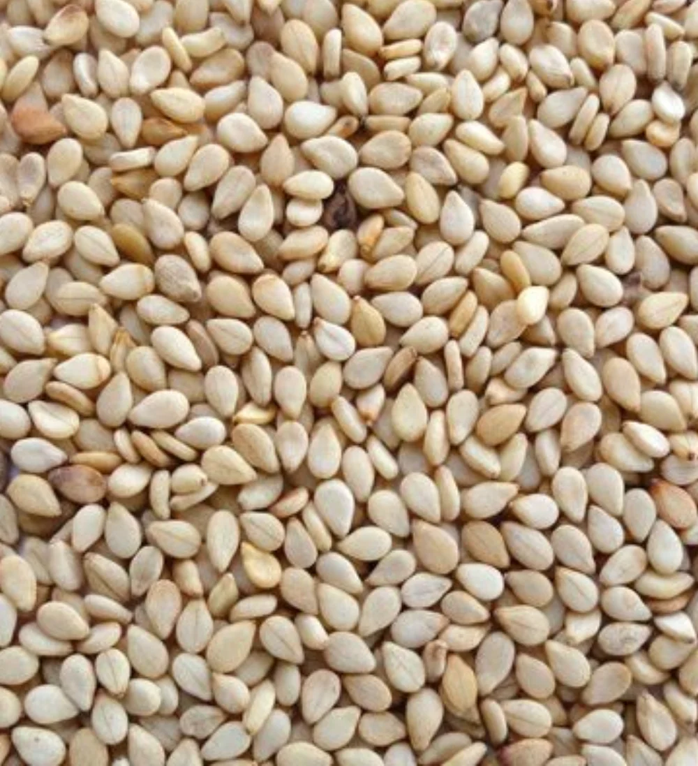 Sesame Seeds