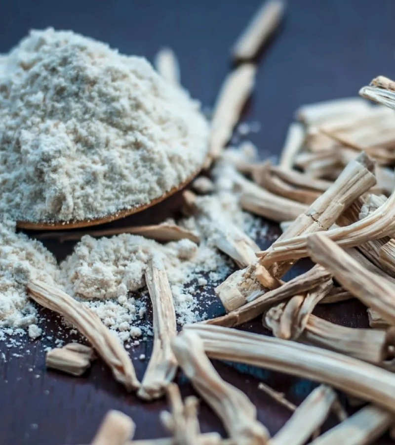 Shatavari Powder