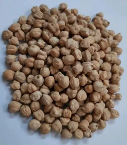 Small Chickpeas