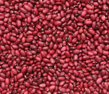 Small Red Beans