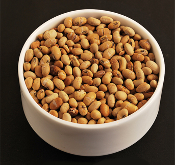 Soya Bean