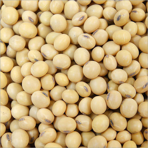 Soyabean Seeds
