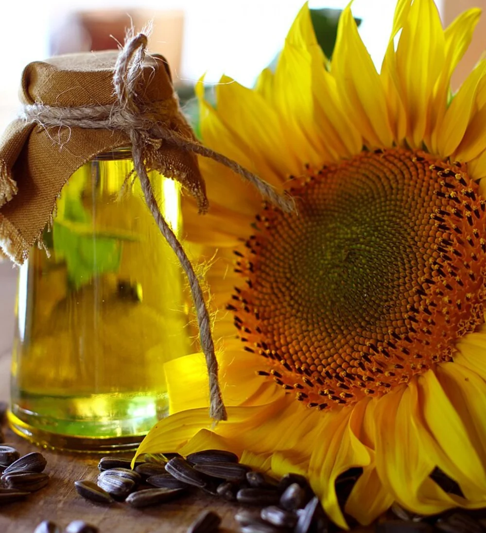 Sunflower Oil